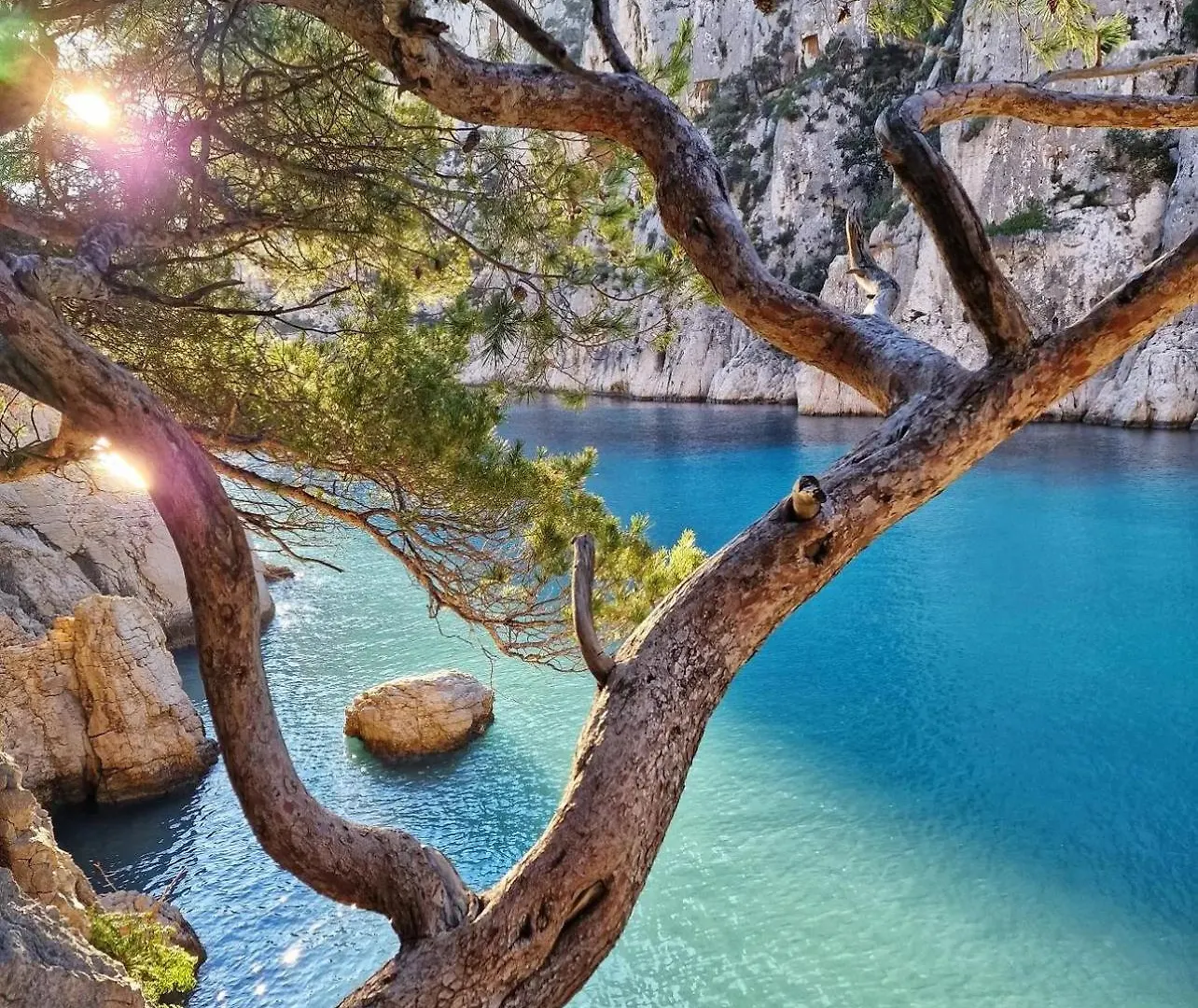 Hébergement de vacances Le Havre Provencal De Luynes - Grande Villa Avec Piscine Jardin Et Loisirs Pres Aix-En-Provence